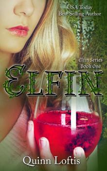 Elfin, Book 1 The Elfin Series