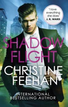 Shadow Flight (The Shadow Series)